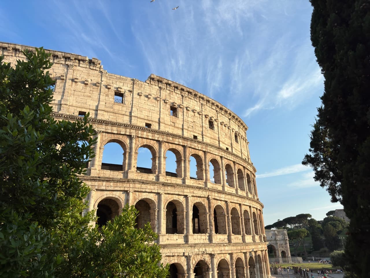 The Colosseum in Rome glowing in late-afternoon light, framed by trees, with birds circling overhead