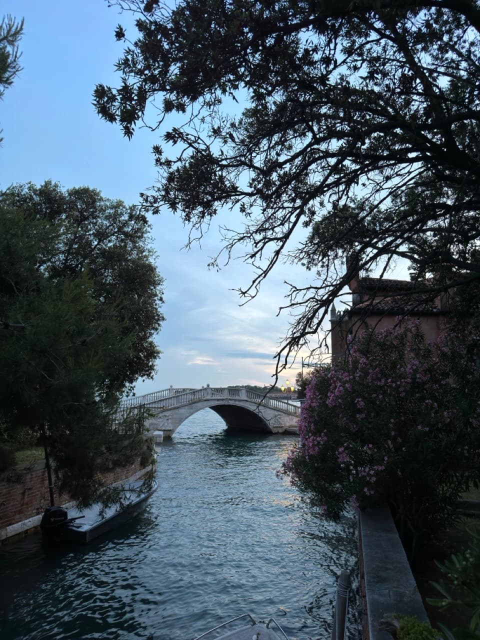 An arched white stone bridge over a quiet Venetian canal at dusk, framed by tree branches and pink oleander blooms