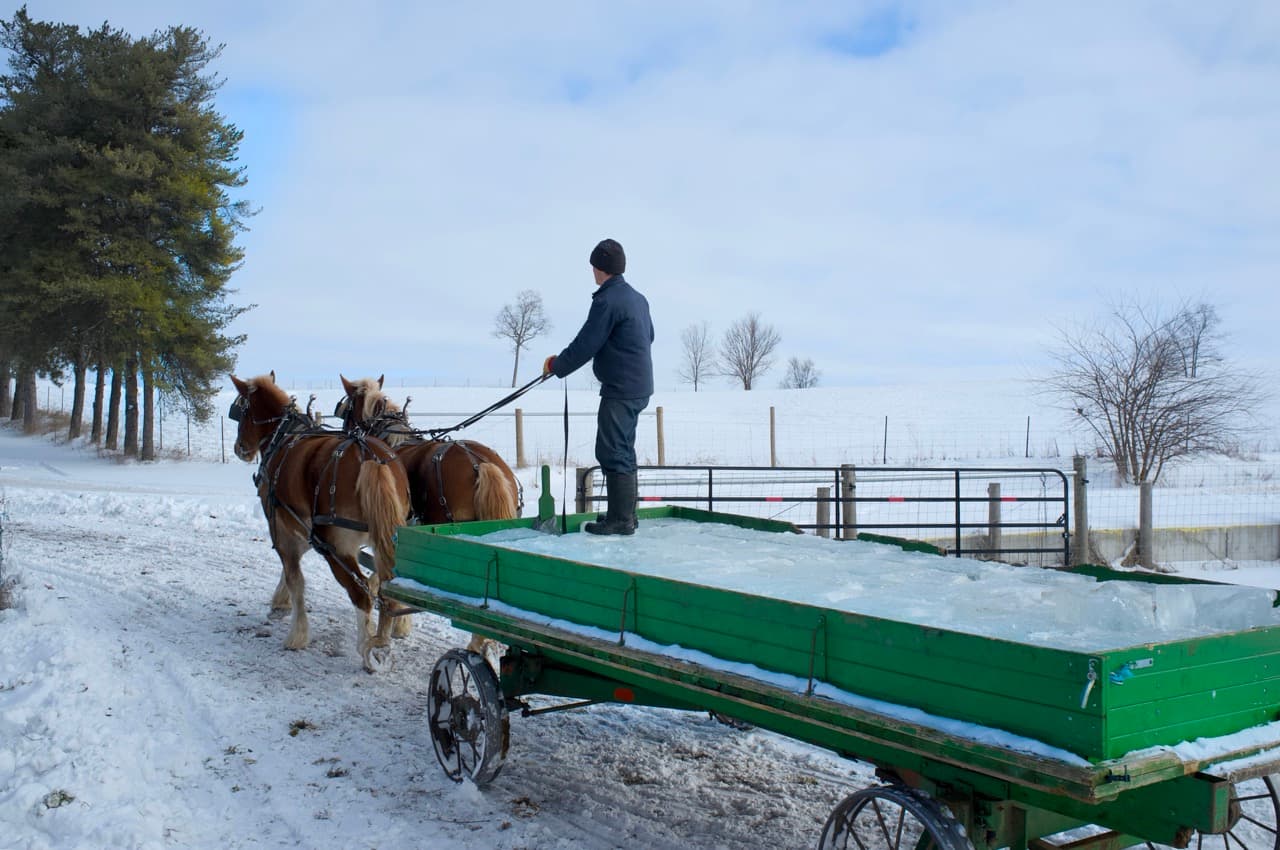 A man standing on a green horse-drawn wagon loaded with blocks of ice, driving two draft horses along a snowy road